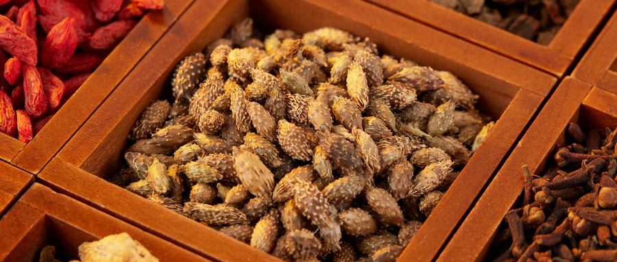 1719905800107254.jpg 摄图网_507732094_盒子里的中药材苍耳子(企业商用).jpg