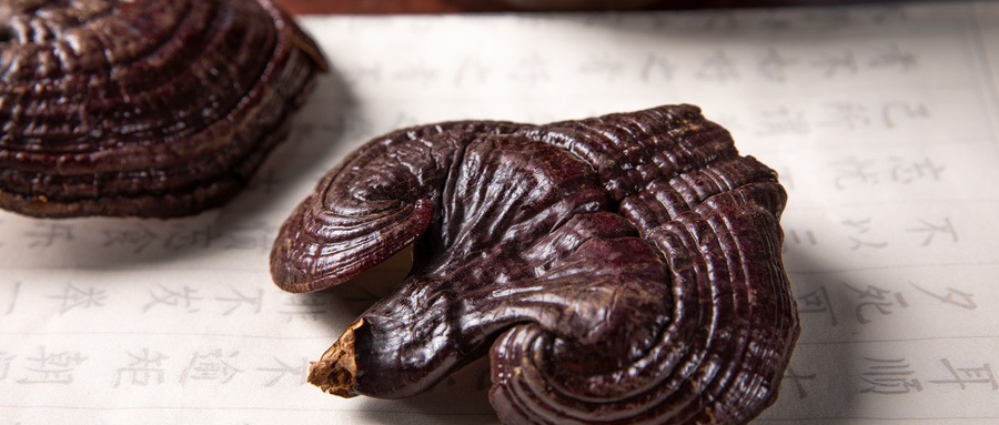 1722495351154193.jpg 摄图网_501249379_wx_灵芝(企业商用).jpg