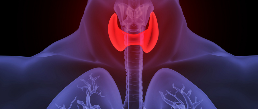 1723777466997877.jpg 摄图网_401806163_人体甲亢场景(企业商用).jpg